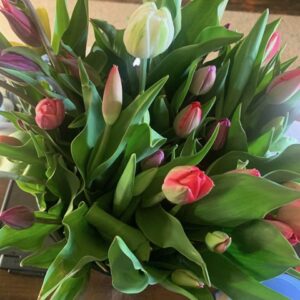 Tulip Bouquet