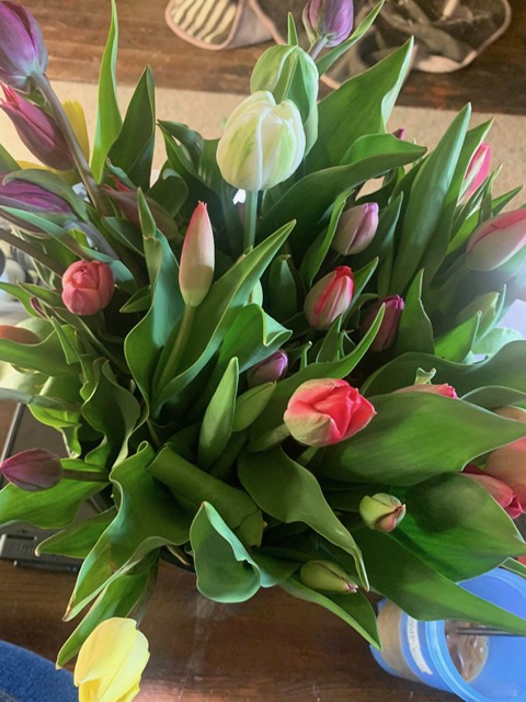 Tulip Bouquet